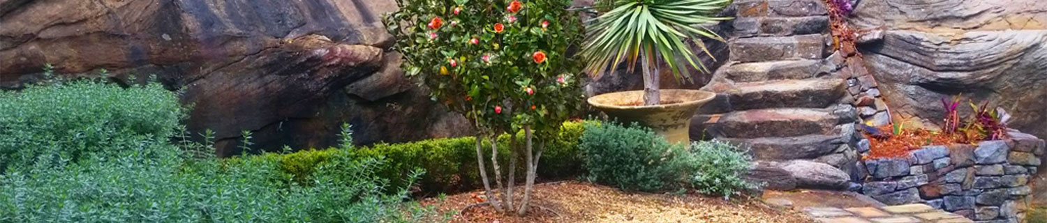 landscape design northern beaches and north shore sydney