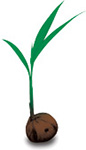 landscaper north shore sydney
