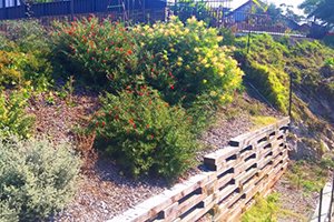 retaining wall quote northern beaches